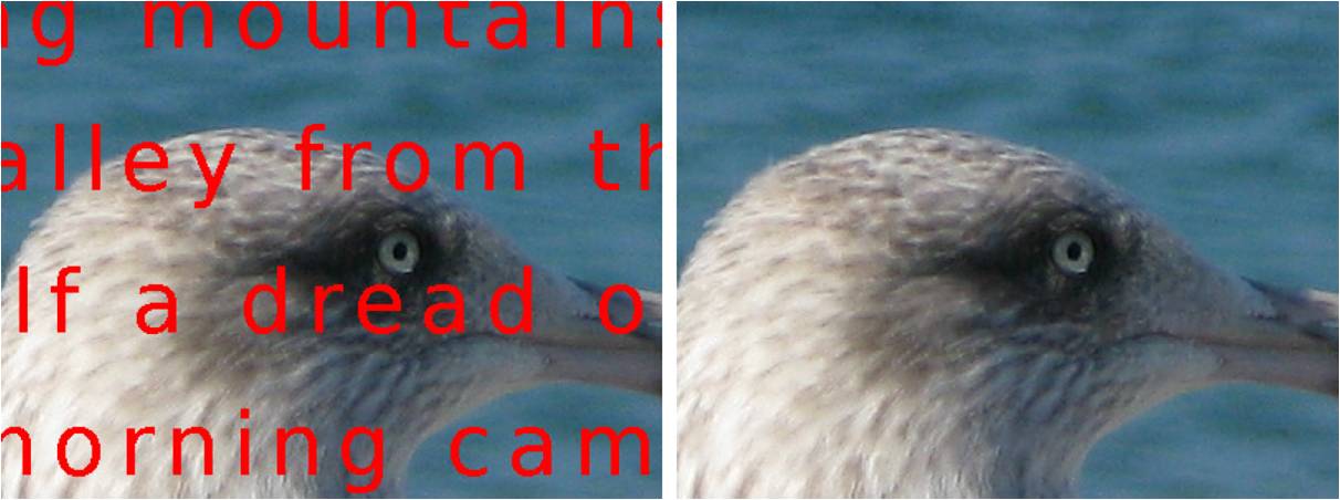 Sparse coding and  dictionary learning for image analysis