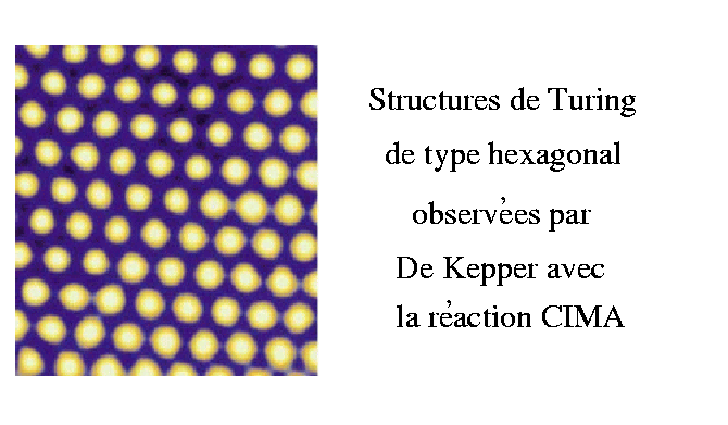 Structure_hexa