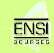 ENSIB